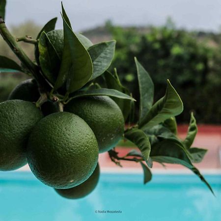 Il Casale Il Sole E La Margherita كامبوفيليتْشّي دي روتْشّي المظهر الخارجي الصورة