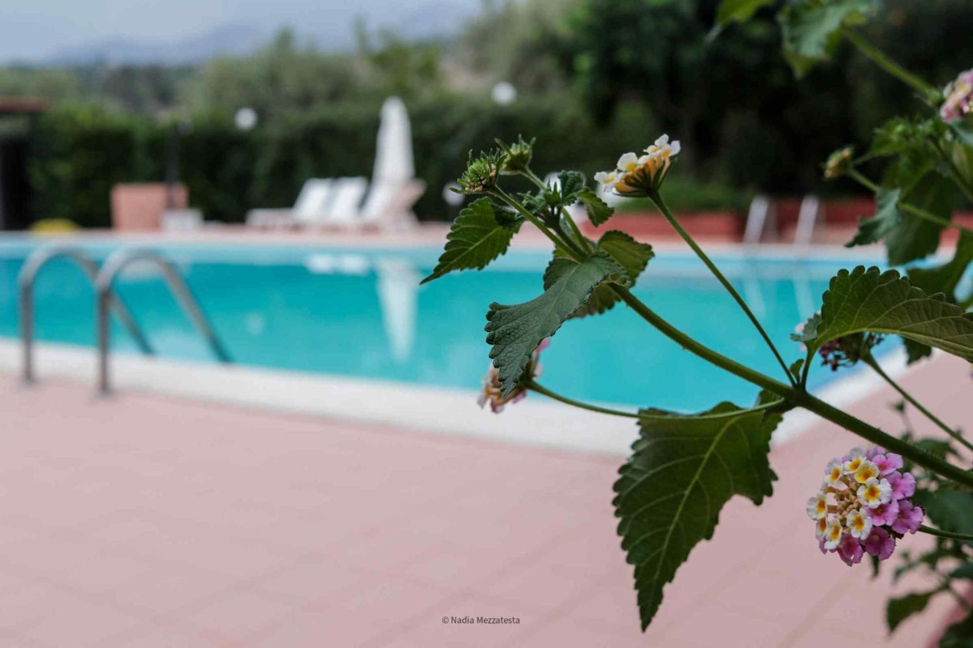 Il Casale Il Sole E La Margherita كامبوفيليتْشّي دي روتْشّي المظهر الخارجي الصورة