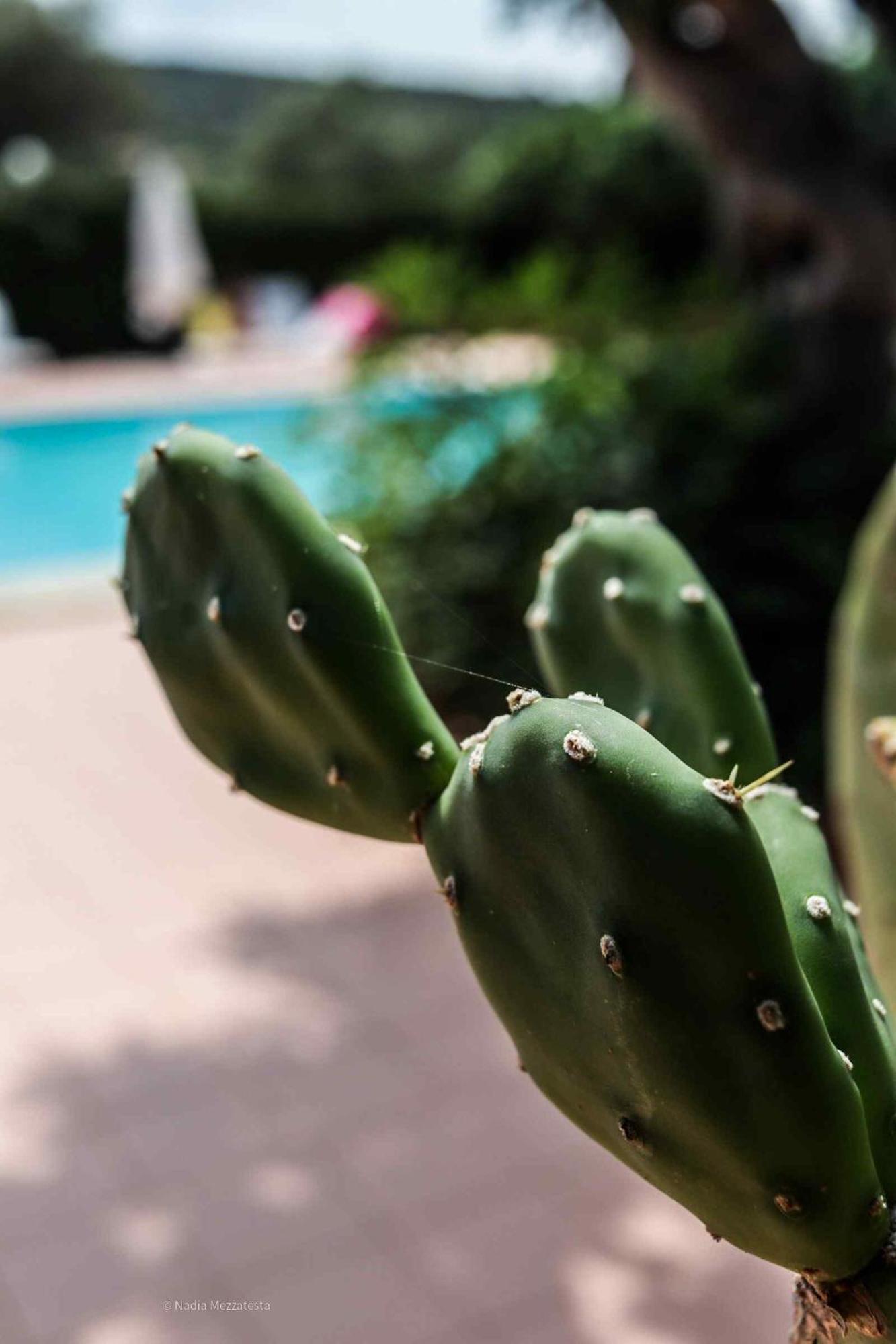 Il Casale Il Sole E La Margherita كامبوفيليتْشّي دي روتْشّي المظهر الخارجي الصورة