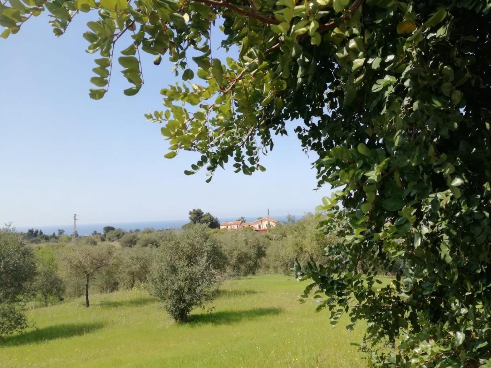 Il Casale Il Sole E La Margherita كامبوفيليتْشّي دي روتْشّي المظهر الخارجي الصورة