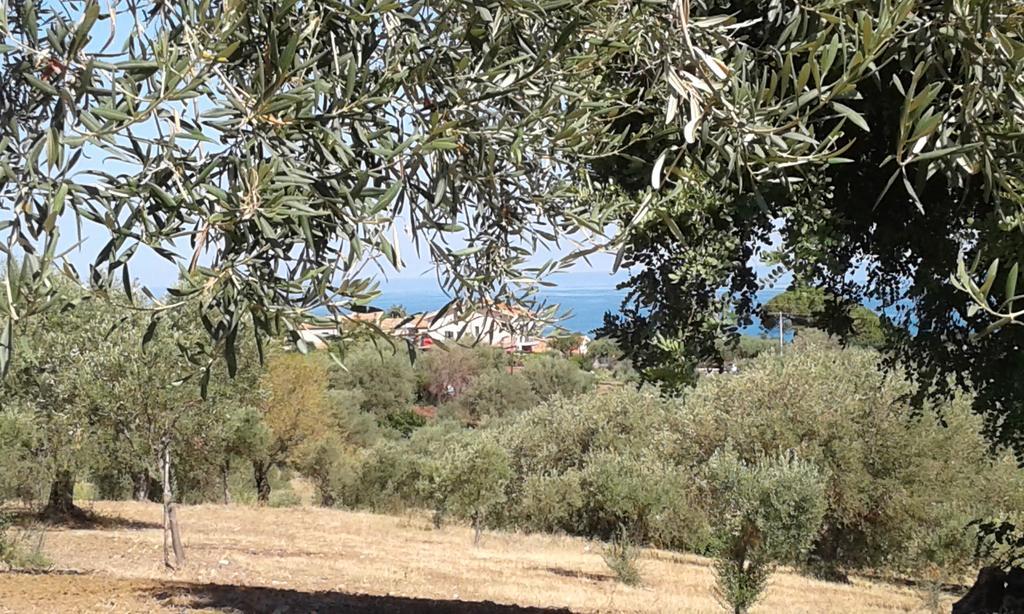 Il Casale Il Sole E La Margherita كامبوفيليتْشّي دي روتْشّي المظهر الخارجي الصورة
